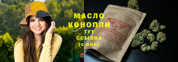 хмурый Дмитровск