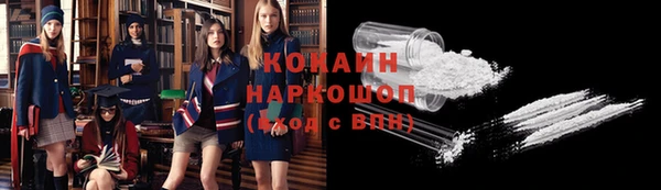 хмурый Дмитровск