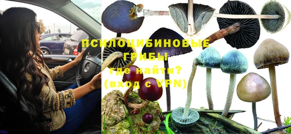 первитин Дмитров