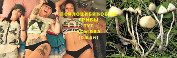 меф VHQ Дмитриев