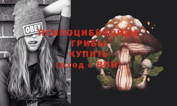 хмурый Дмитровск