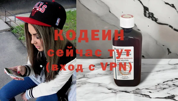 хмурый Дмитровск