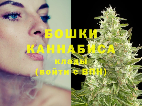 хмурый Дмитровск