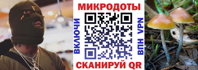 Галлюциногенные грибы прущие грибы  Купить  Томилино 